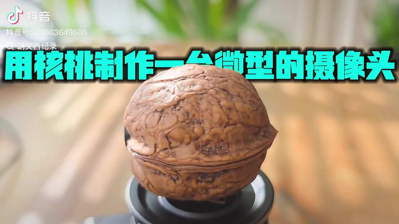 用核桃制作一个微型摄像头
